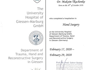 стажировка в университетской клинике г. Гиссен, Германия, под руководством профессора Gabor Szalay